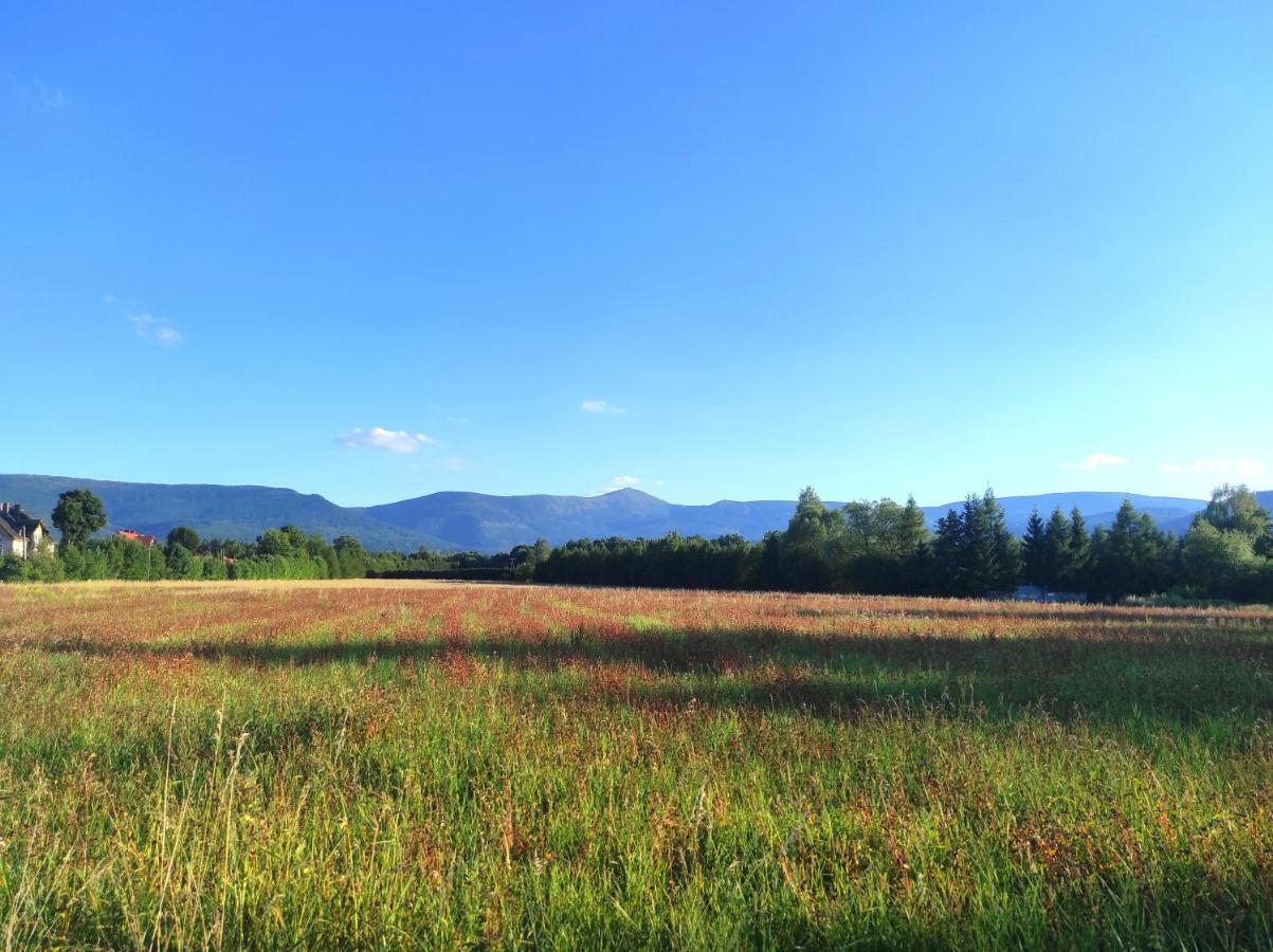 Willa Kolorowa Chata 6 Km Od Karpacza Mysłakowice 外观 照片