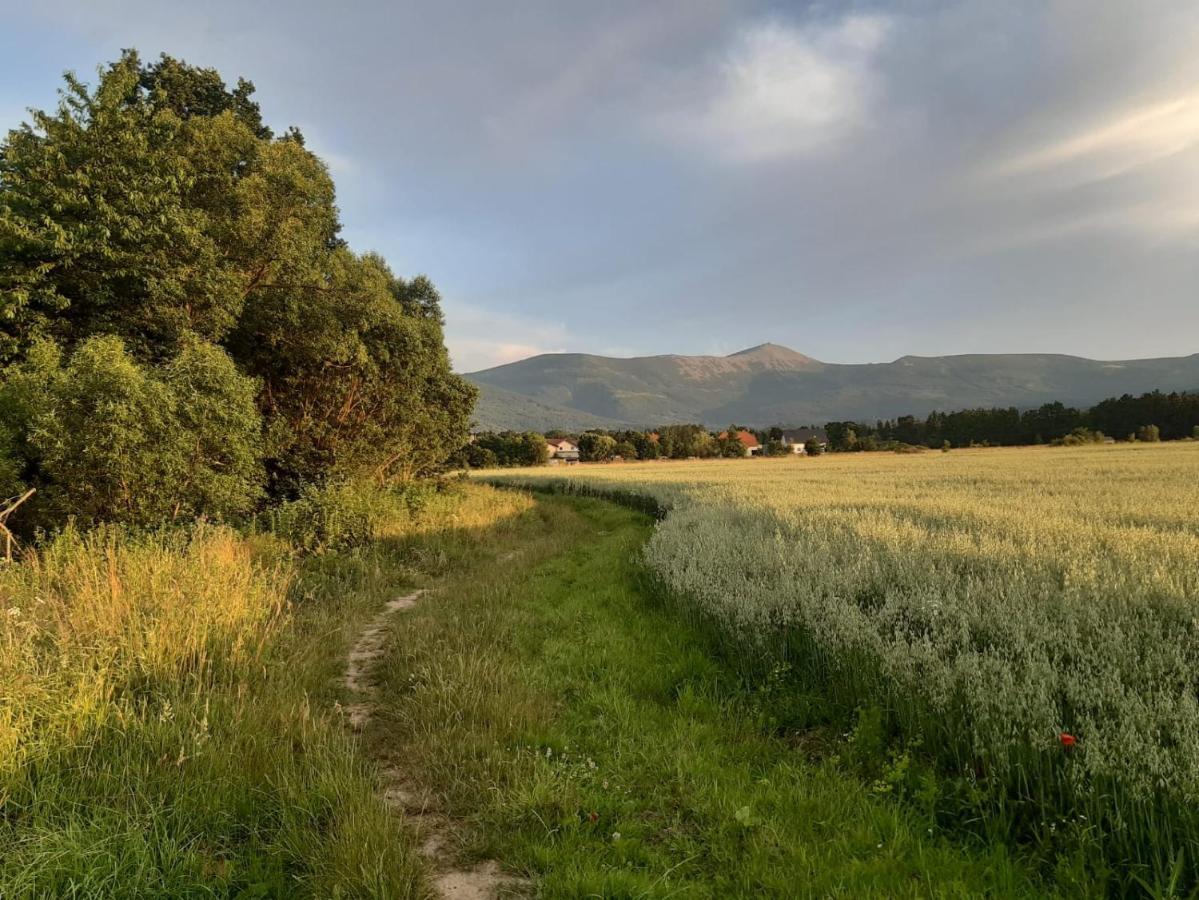 Willa Kolorowa Chata 6 Km Od Karpacza Mysłakowice 外观 照片